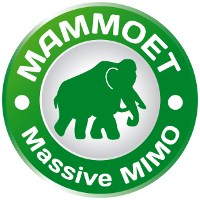 MAMMOET, MAssive MiMO for Efficient Transmission