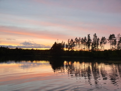 View from Summer Cottage