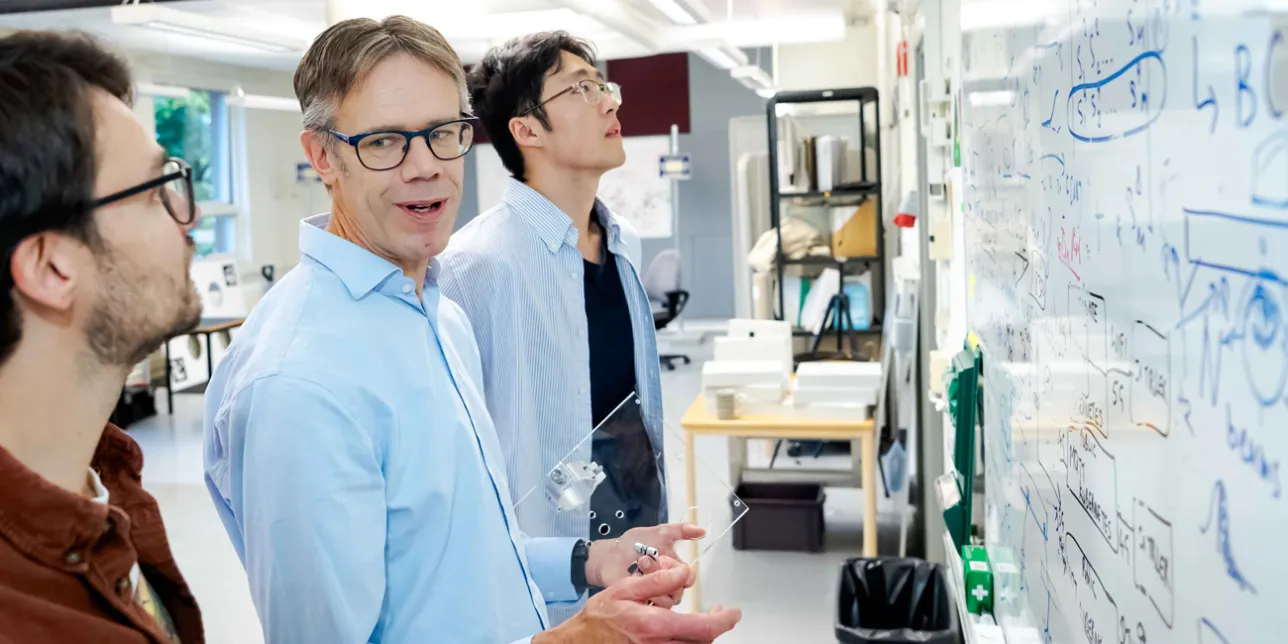 Lärare och studenter vid white board. Foto.